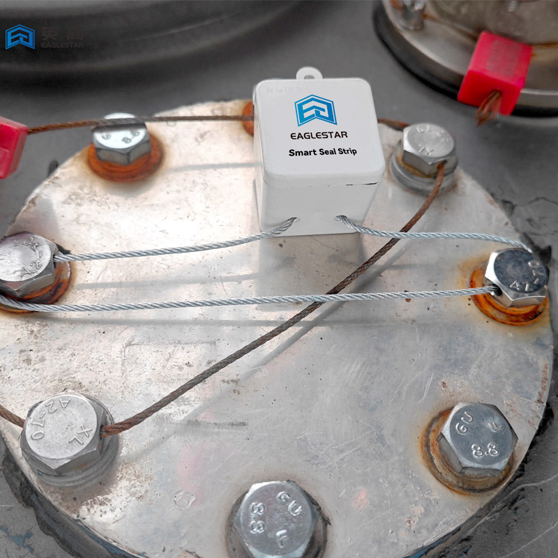 Explosion-Proof Reusable Lead Seal High Tensile Strength Cut Alarm for Petrochemical Logistics