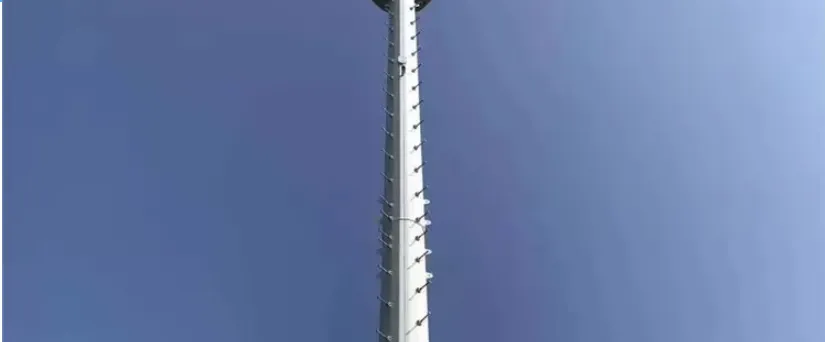 Foundation Interface