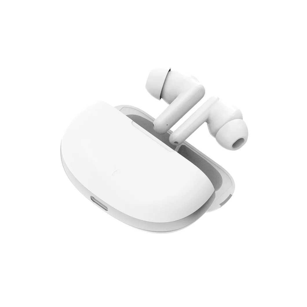 Hearing Aid Detail 9