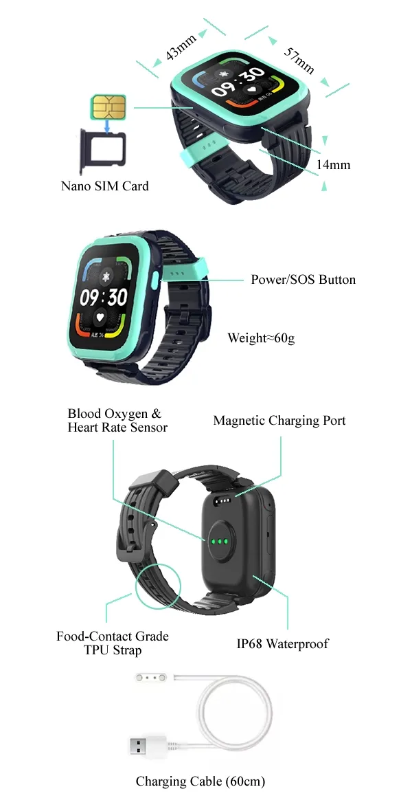 Smartwatch Overview
