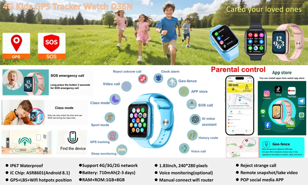 Smart Watch Overview