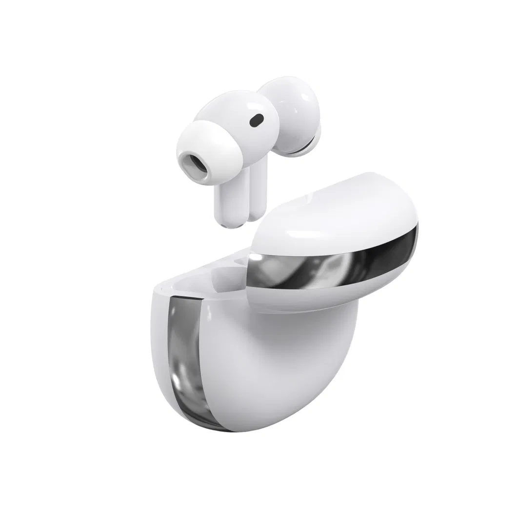 Hearing Aid Detail 8