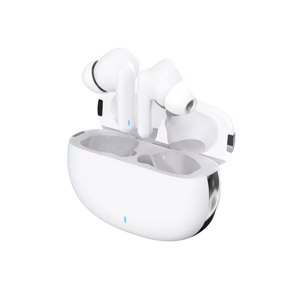 Hearing Aid Detail 7