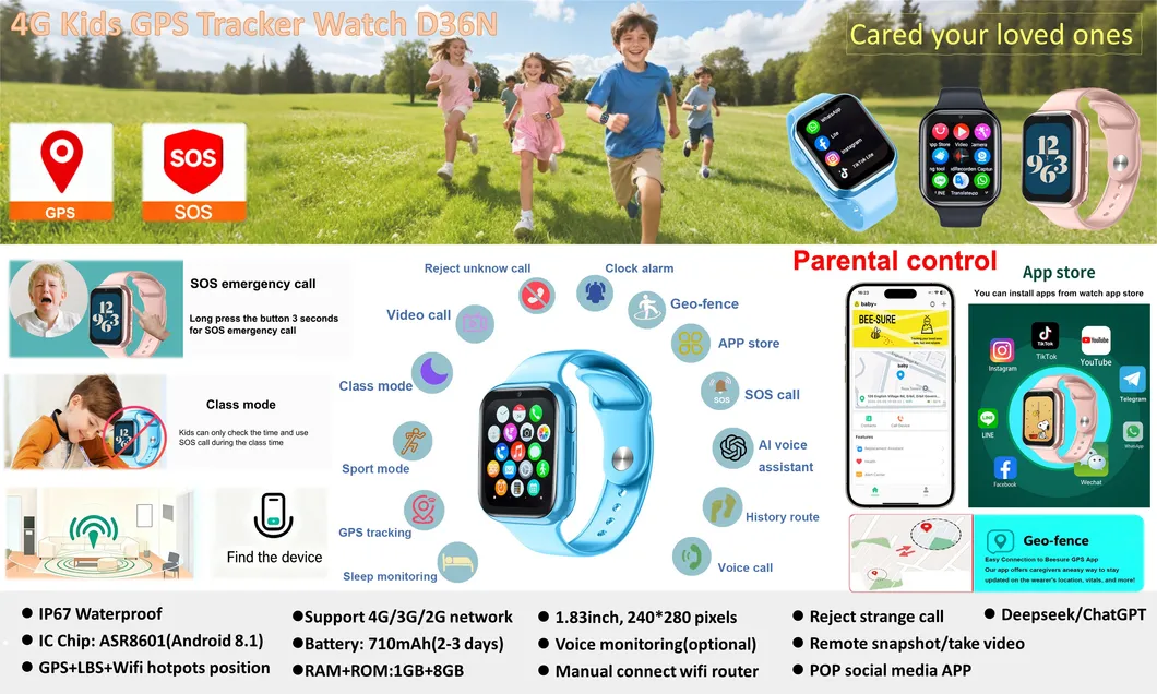 Smart Watch Overview