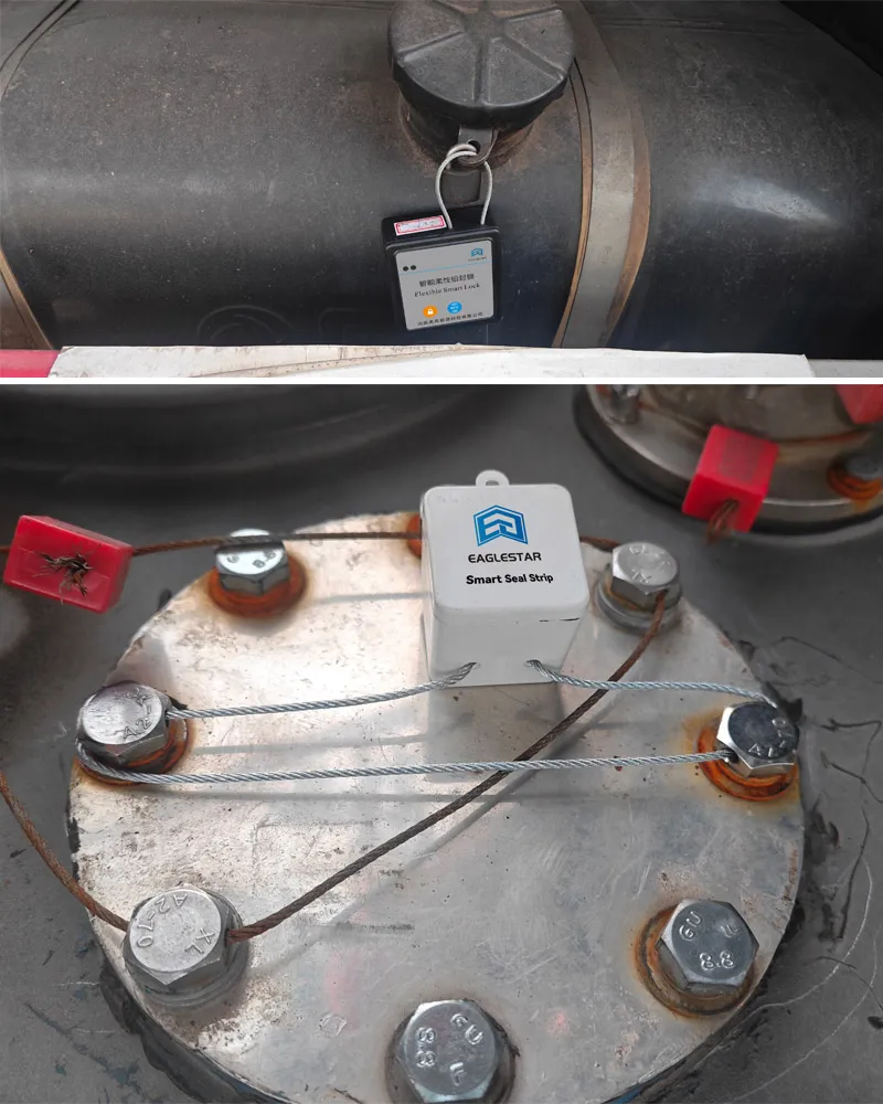 Smart Lead Seal System