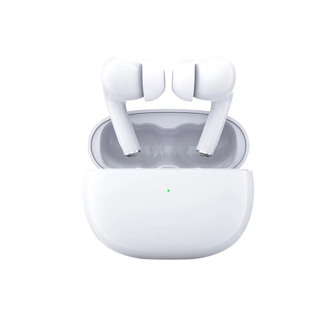 Hearing Aid Detail 8