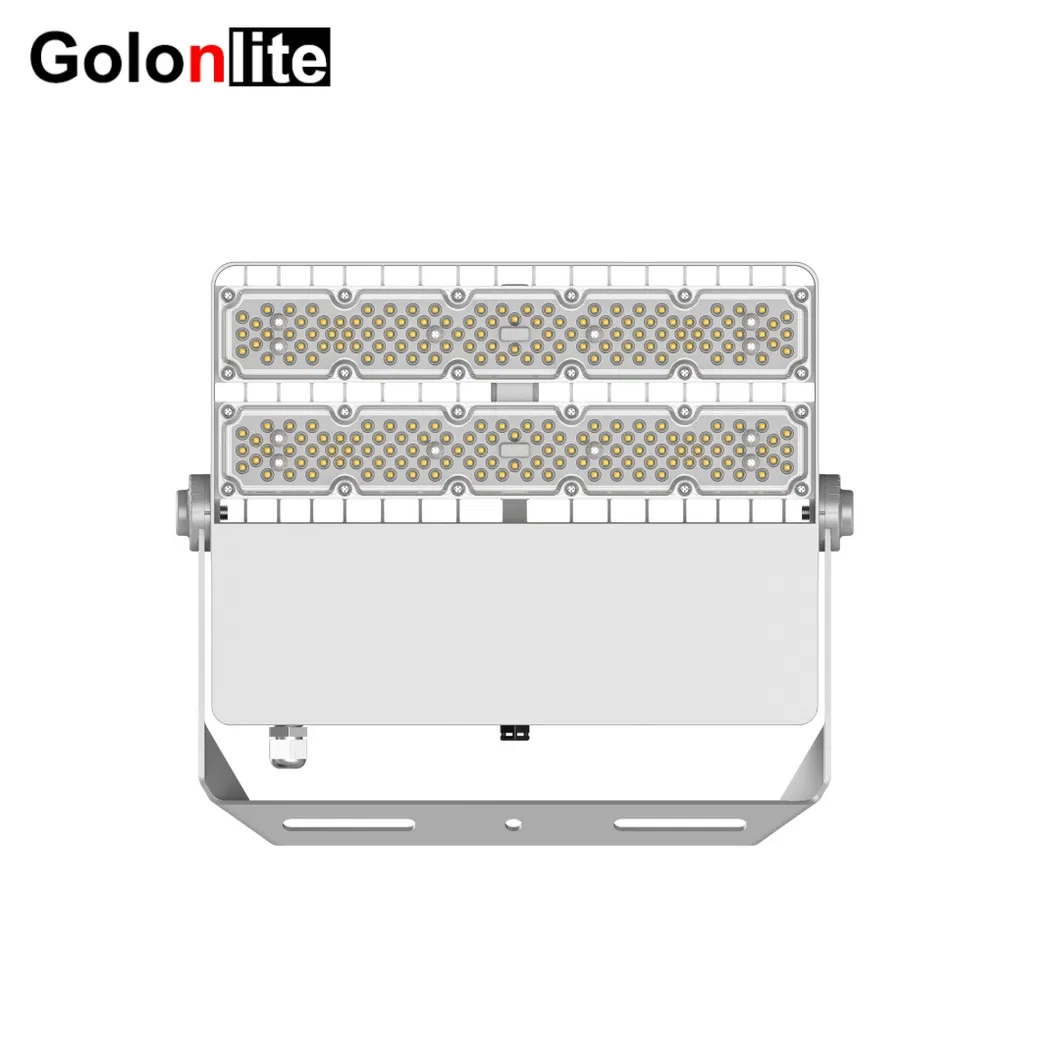 80W LED Flood Light