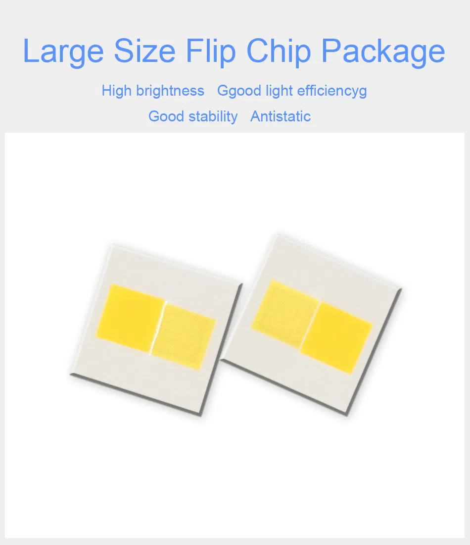 COB Chip