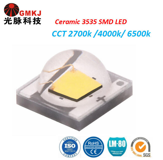 New Type High Lumen 3000K 5000K 6000K 8000K White High Power SMD 3535 LED Chip 3W for Outdoor Lightiing