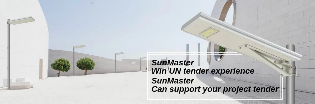 Solar Street Light Overview