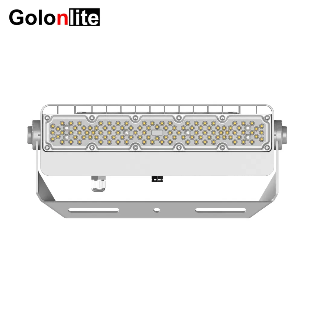 30W LED Flood Light