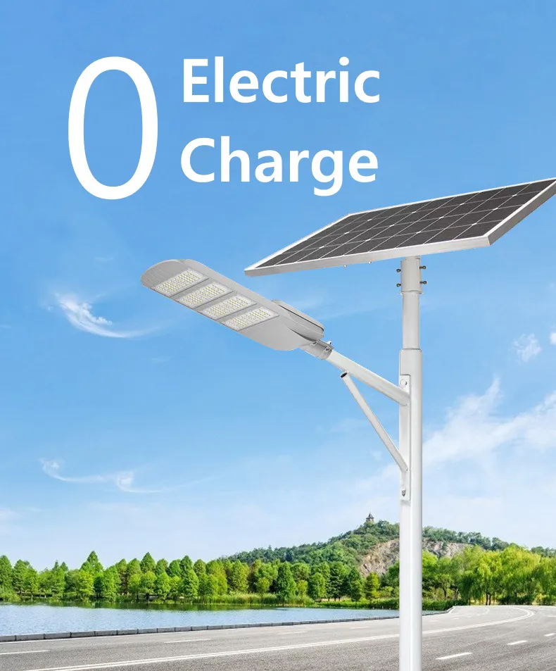 Solar Street Light Feature