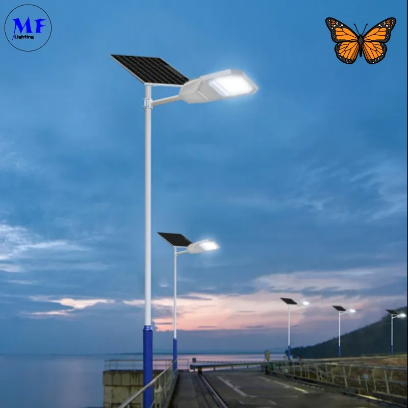 Night view application