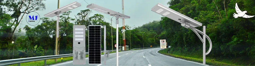 Solar Street Light Overview