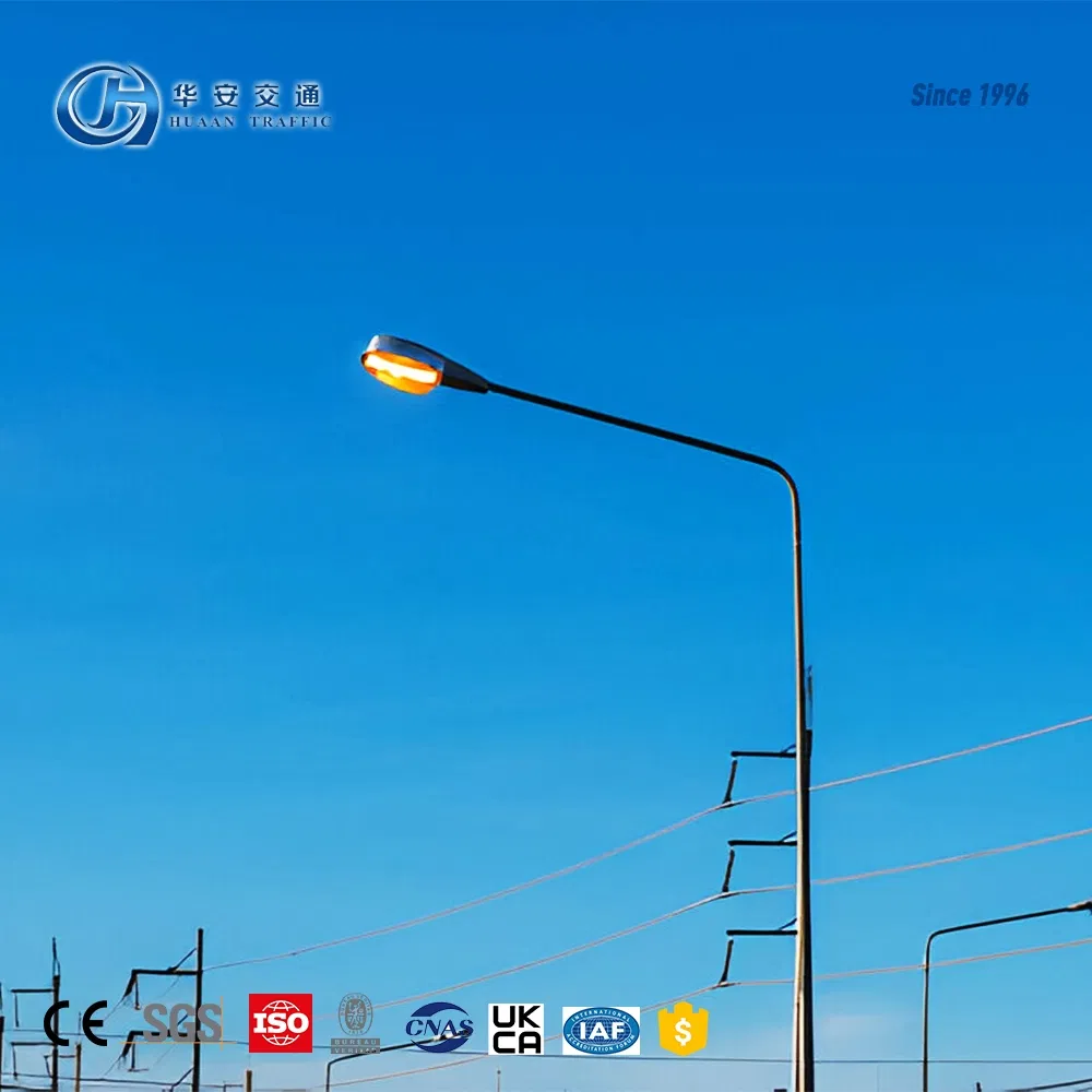 Hot-DIP Galvanized 6m 8m LED Street Light Pole Single Double Arm Road Lighting Pole for Highway City Street Customizable Height