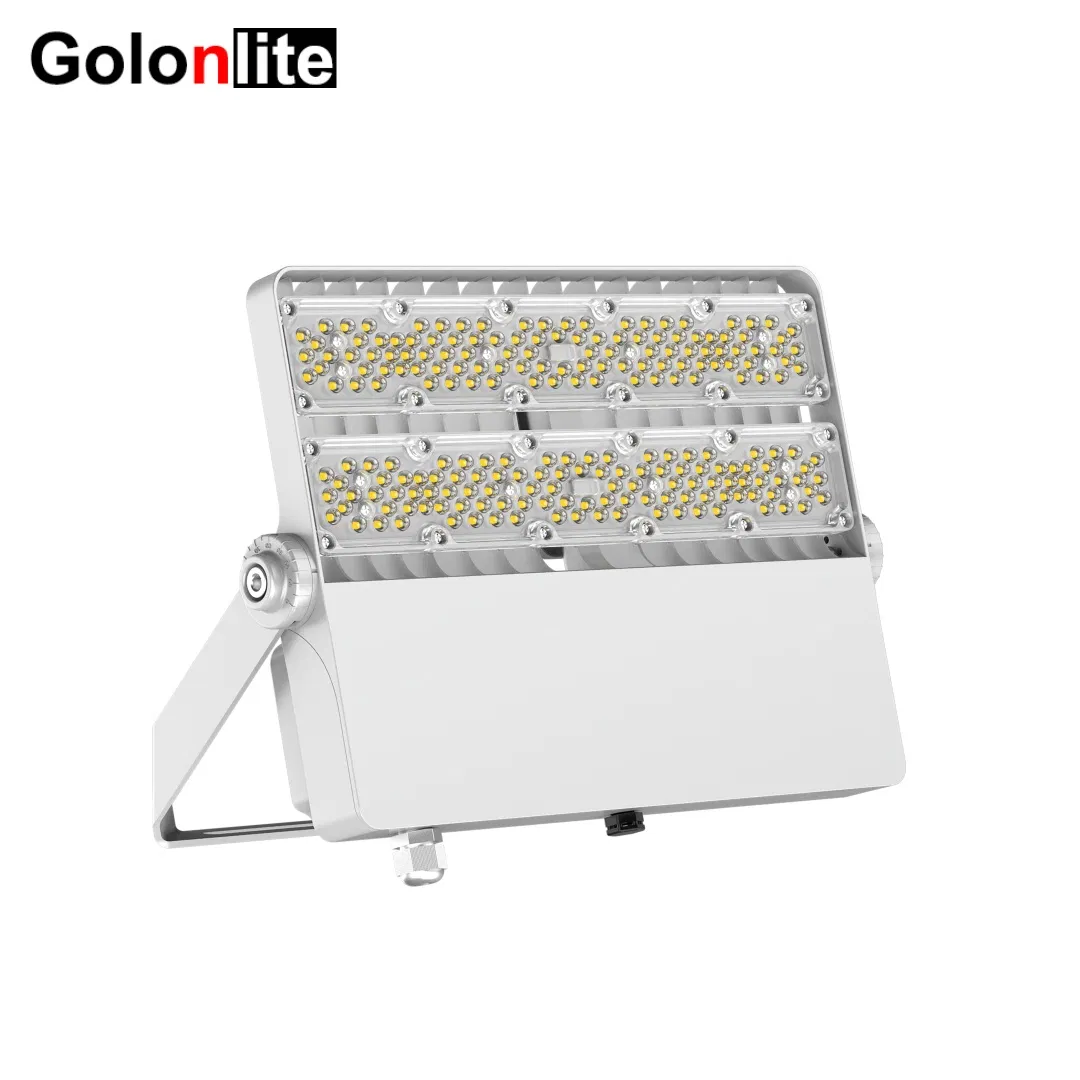 Waterproof Reflector LED Flood Light Spotlight 100-277V 100W 150W 200W 250W IP66 50W LED Luminaires