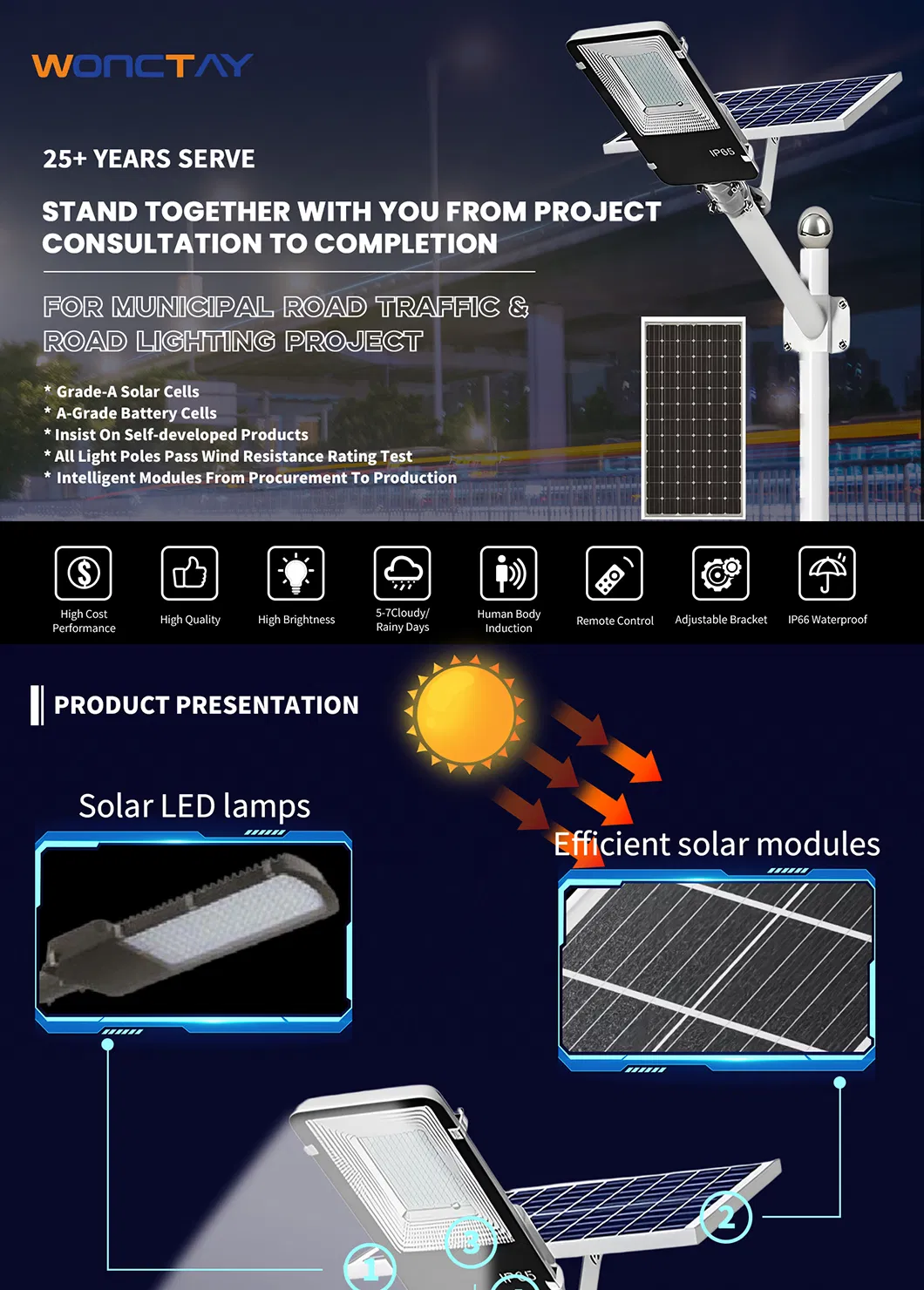 Solar Street Light 1