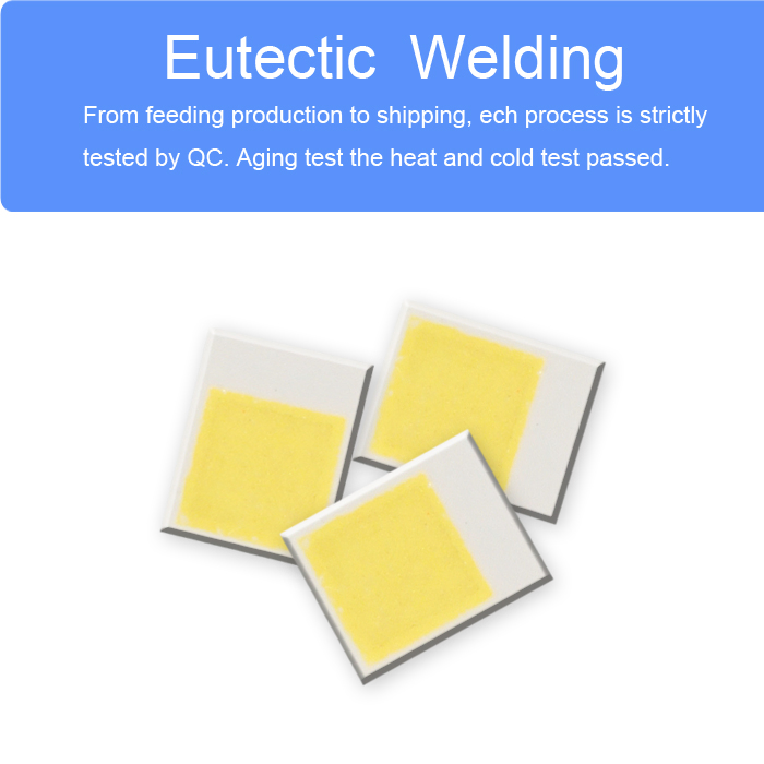 Factory Customized Csp 2016 Chip Warm White High Brightness Lumen High Power 3W LED Chip