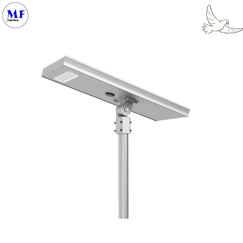 Factory Price 80W LED Solar Street Light with MPPT Charge Controller for Riverside
