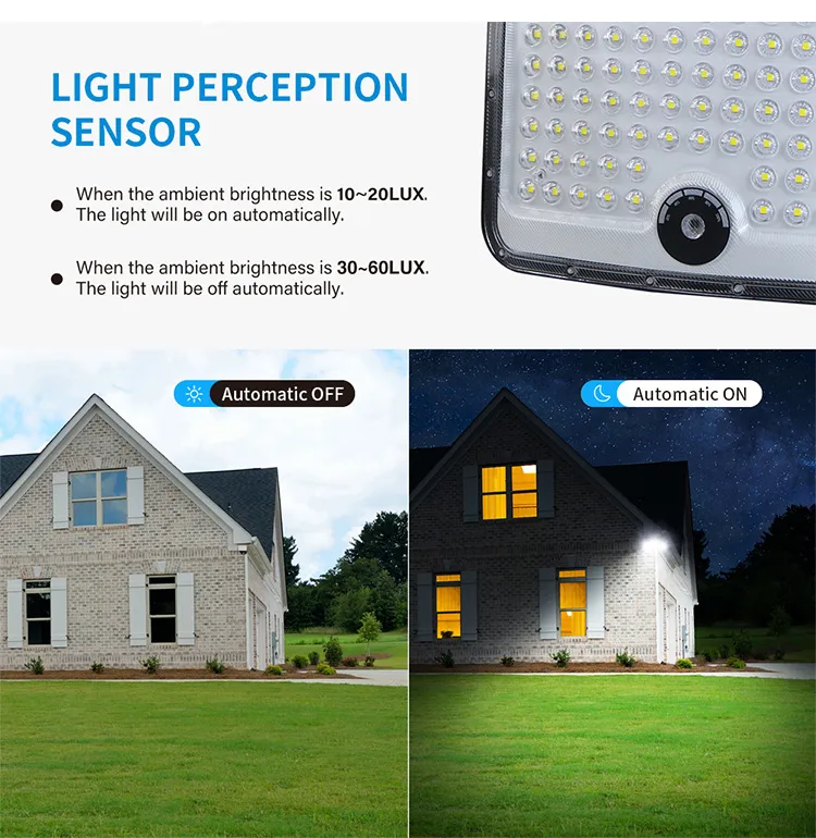 Detailed Solar Light View 4