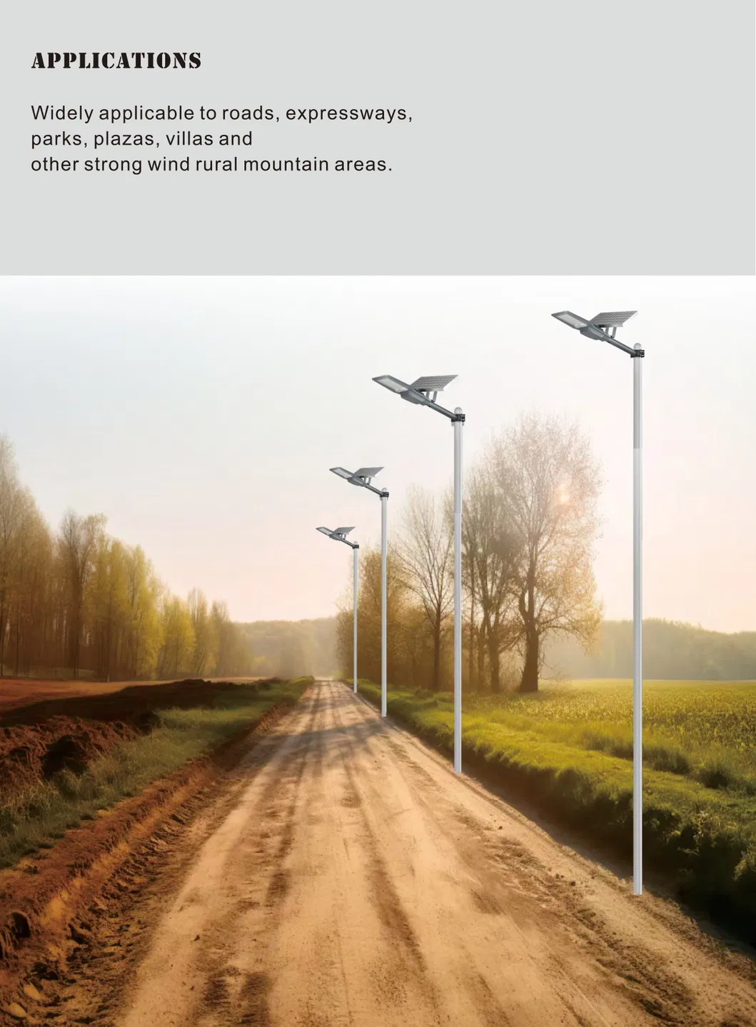 Solar Street Light 4