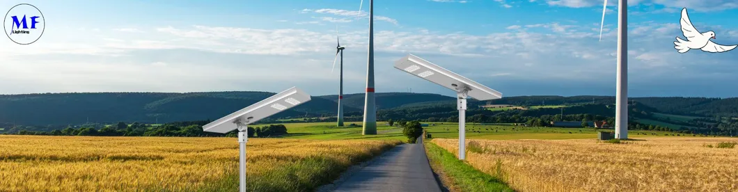 Solar Street Light Overview