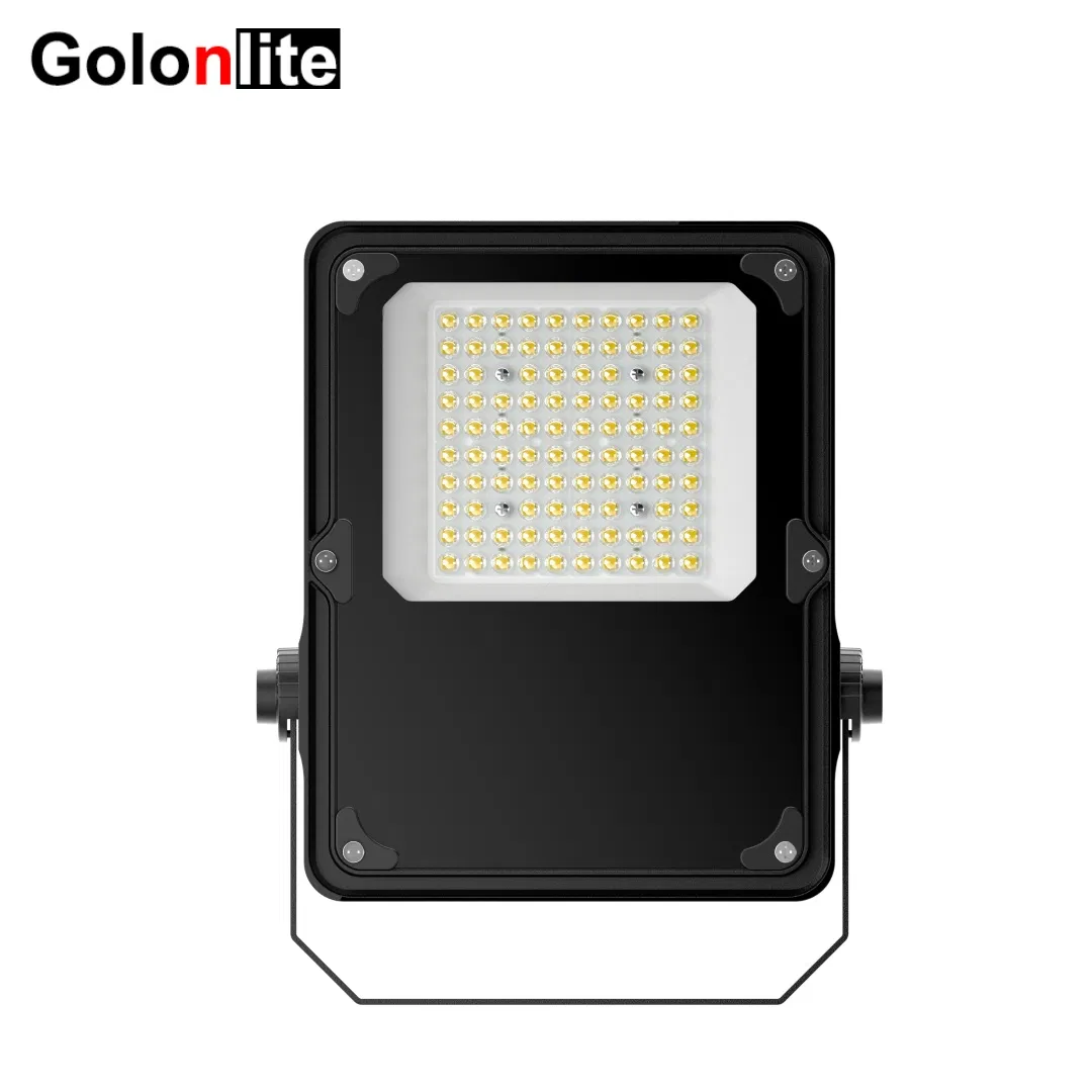 Outdoor Waterproof LED Spotlight 150lm/W 120V 220V 230V 240V 277V IP66 30W 50W Luminaires