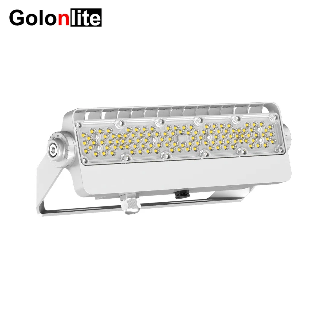 Waterproof Reflector LED Flood Light Spotlight 100-277V 100W 150W 200W 250W IP66 50W LED Luminaires