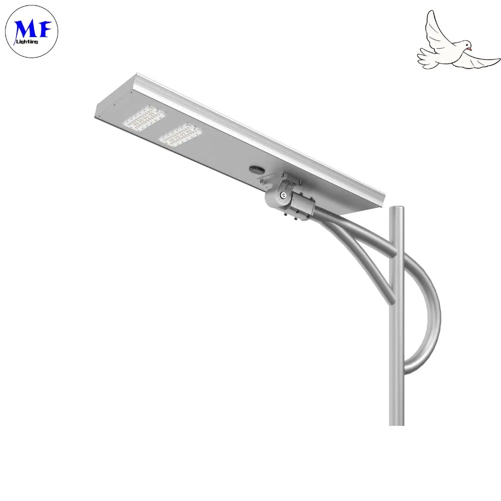 Factory Price 80W LED Solar Street Light with MPPT Charge Controller for Riverside