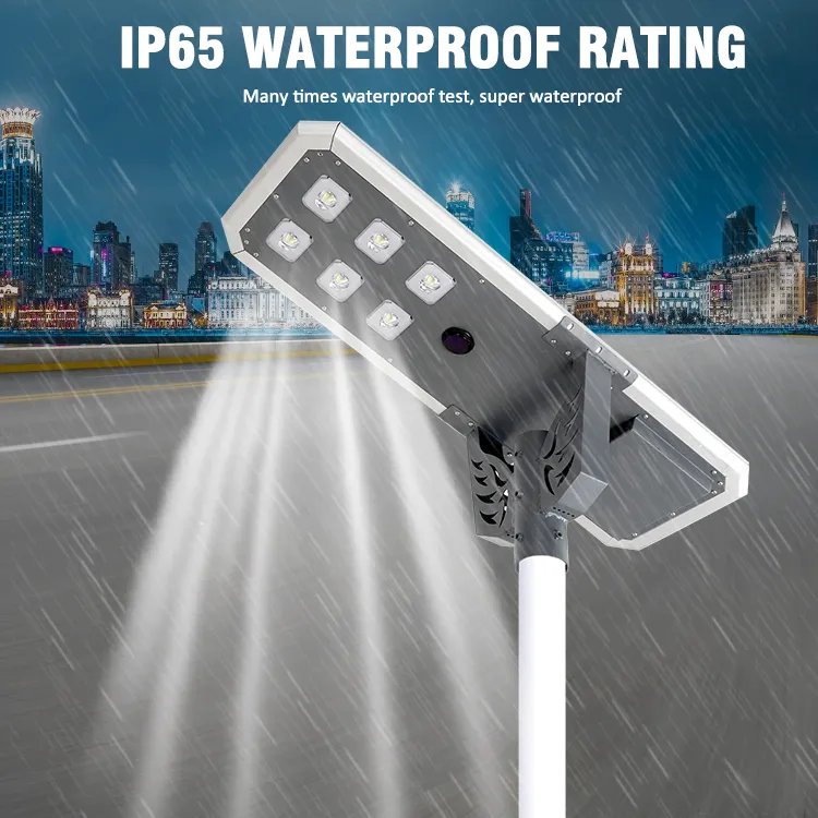 Solar Street Light 4