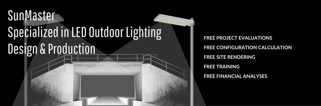 Solar Street Light Main View