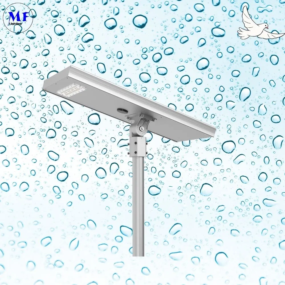 Factory Price 80W LED Solar Street Light with MPPT Charge Controller for Riverside