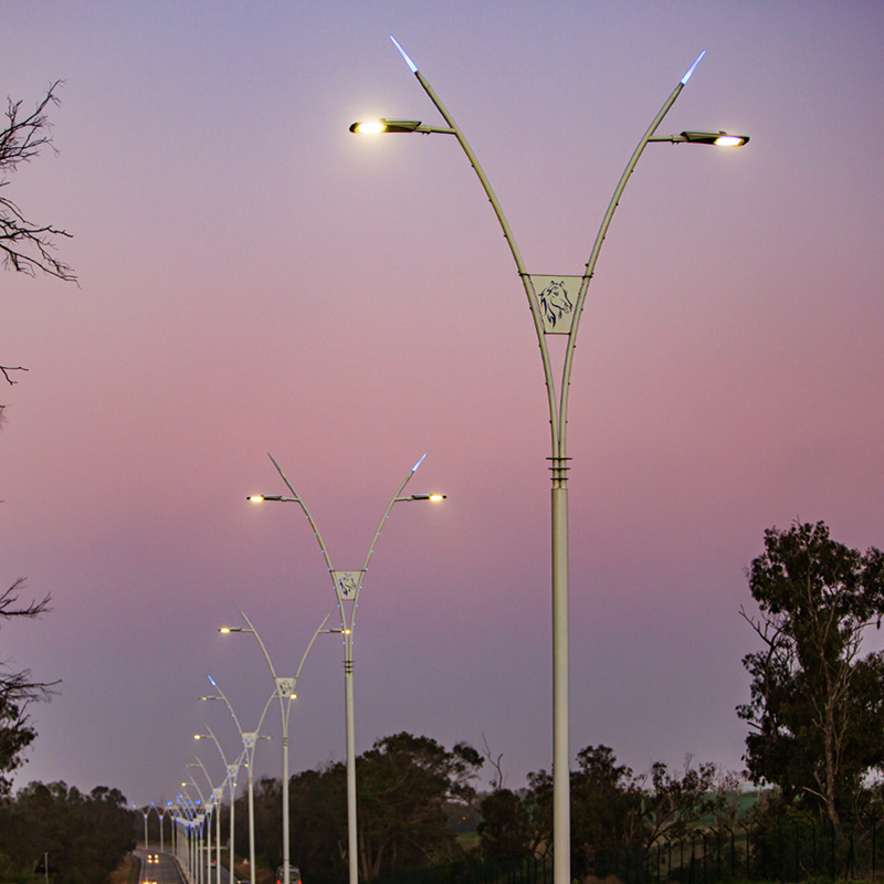 Robust Hot DIP Galvanized Lighting Pole with Custom Size Flange