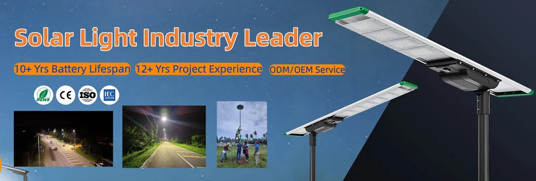 80W IoT Smart Solar Light