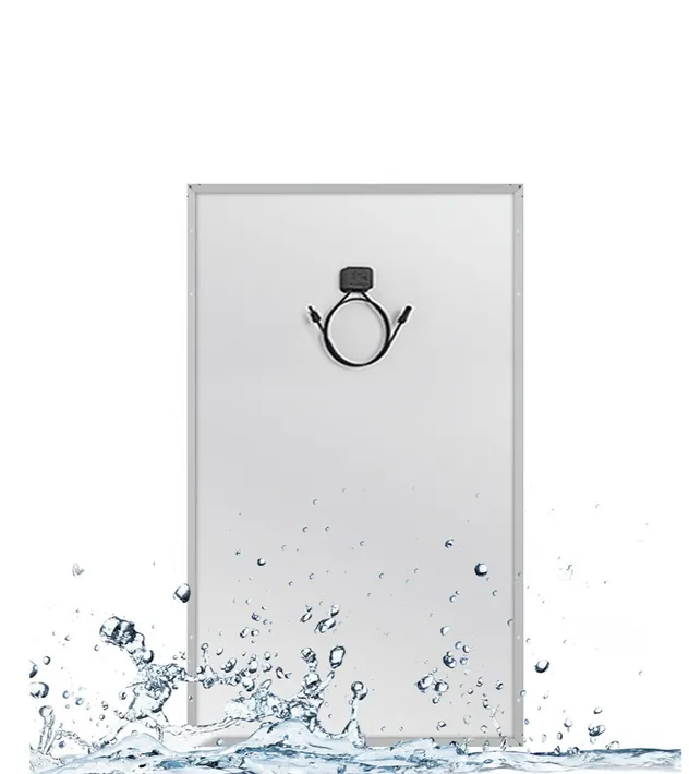 PPF Anti-Aging Backsheet