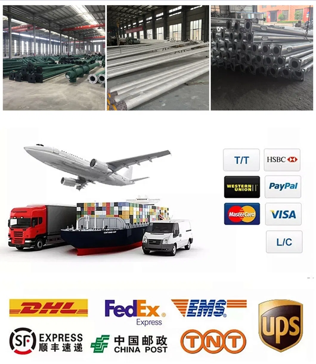 Shipping and Logistics