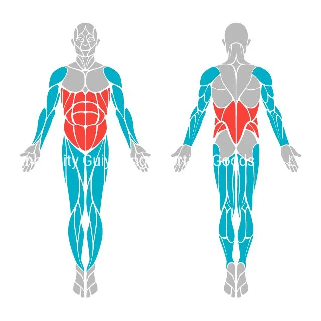 Hip Twister Core Benefits