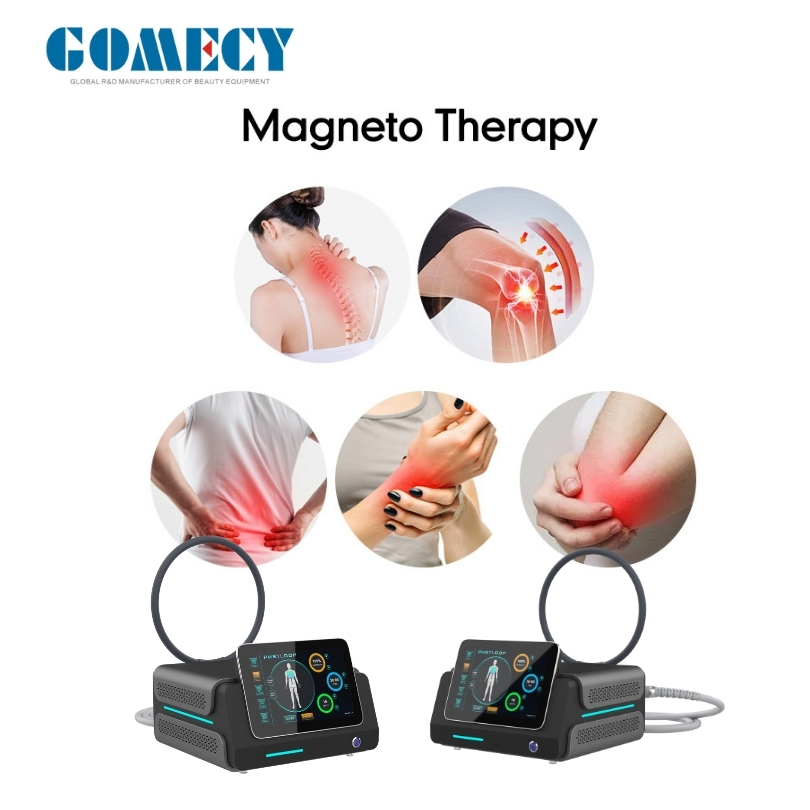 Portable Double Rings Pemf Animals Physiotherapy Pain Relief Physical Therapy Equipment