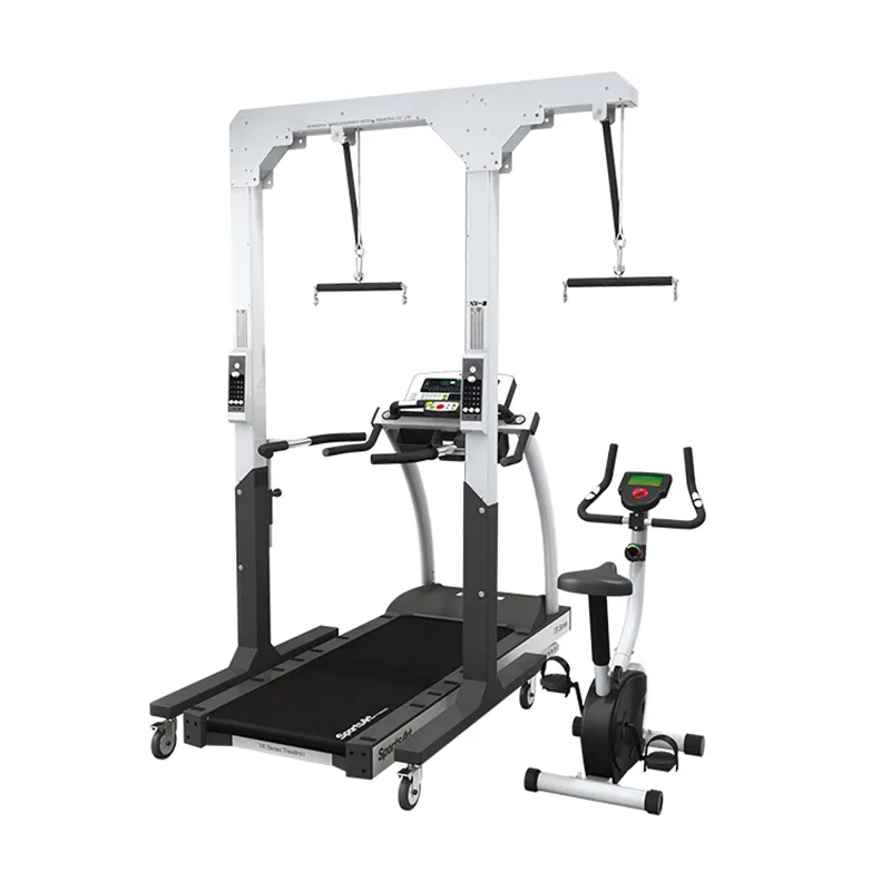 Suspension Walker Training