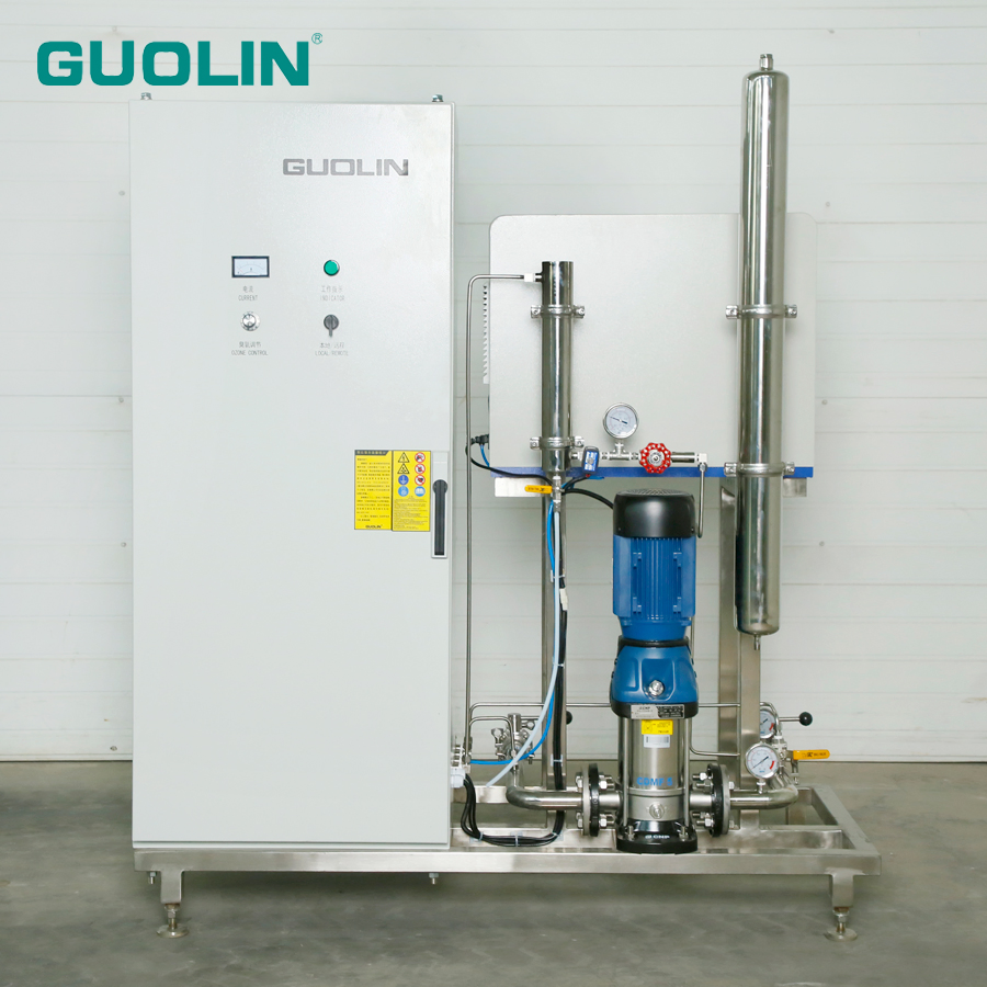 40g/H Water Disinfection Sterilization Ozone Generator Machine Equipment for Drinking Water and Cooling Tower Application