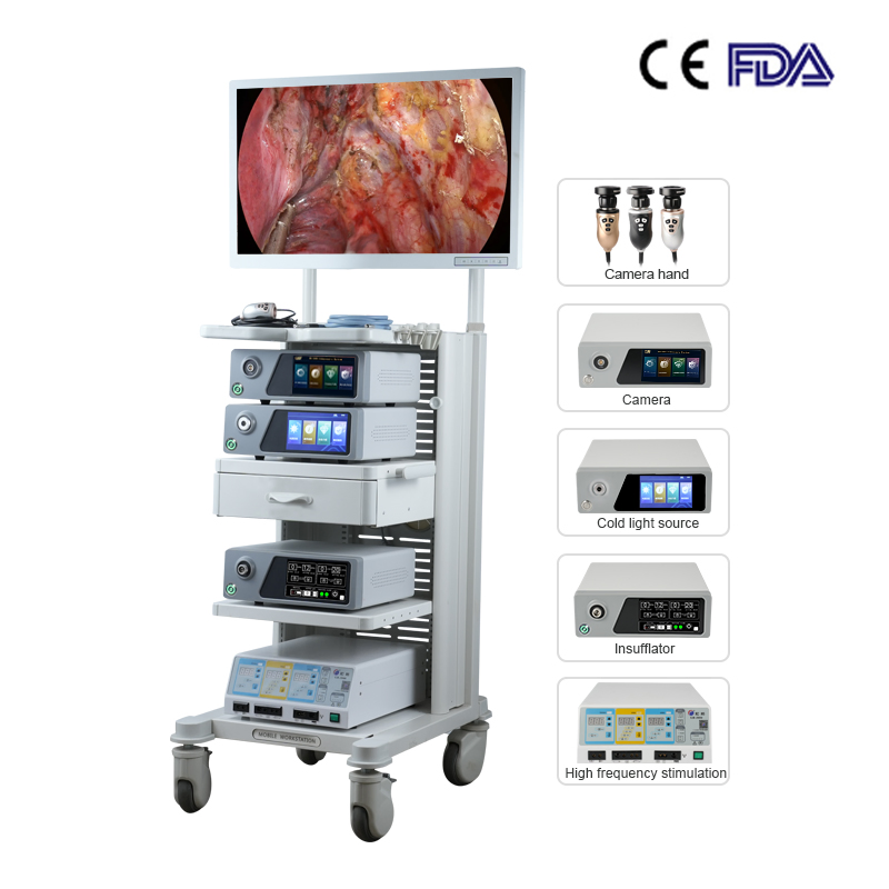 Medical Diagnostic Colposcope Endoscopic Instrument Endoscopy Equipment 4K Flourescent Endoscope Camera System