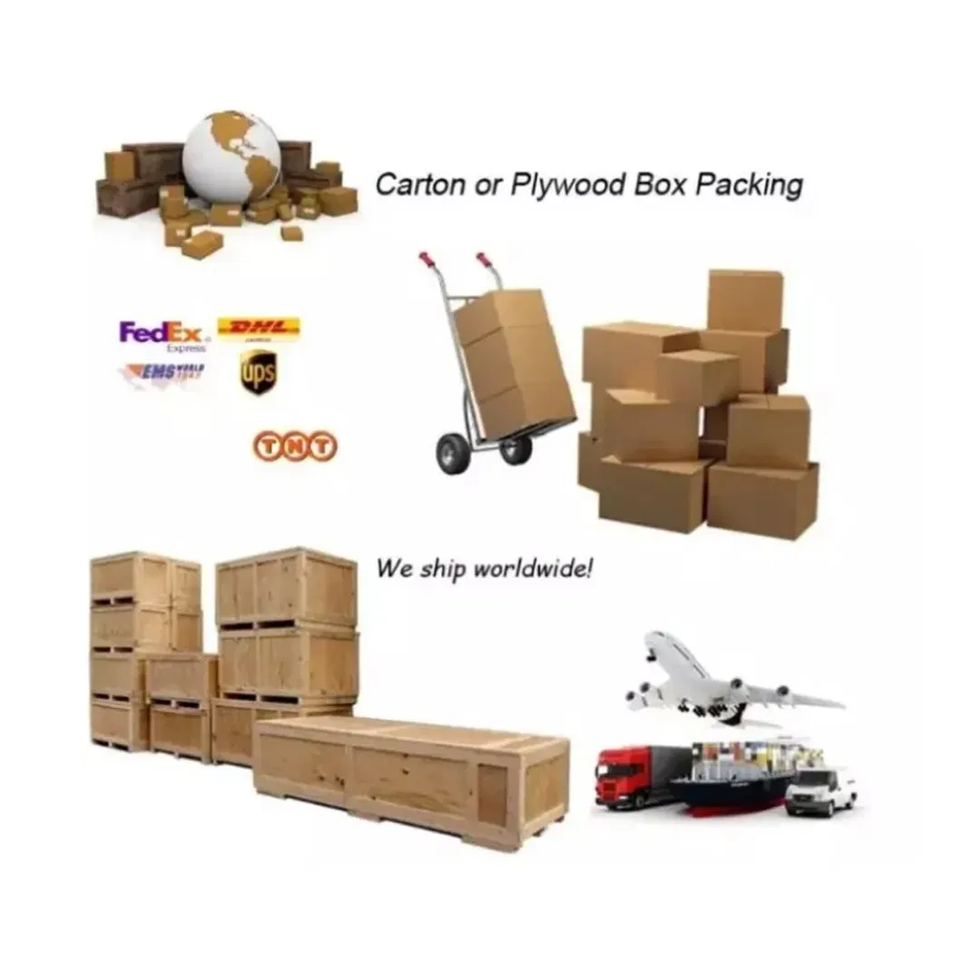Shipping Packaging