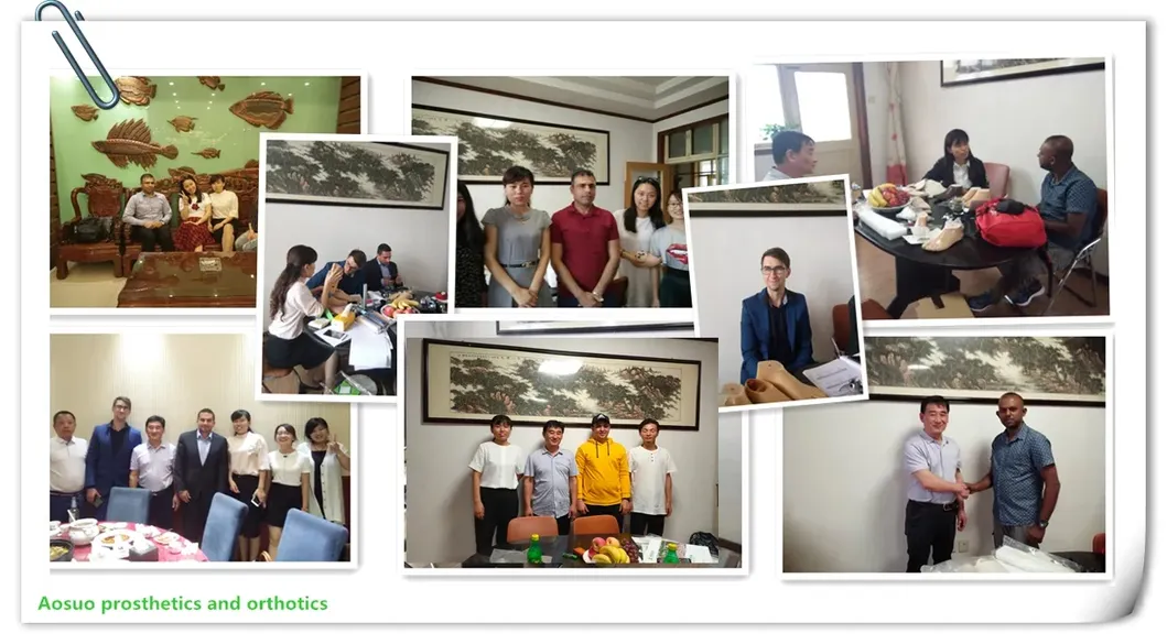 Orthopedic Support Specs