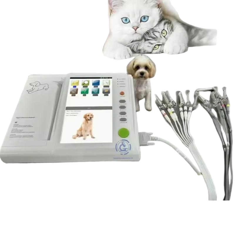 Essential 12-Lead Veterinary Echo Device for Pet Health Monitoring