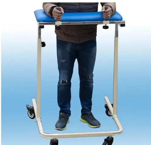 Walking Assist Device