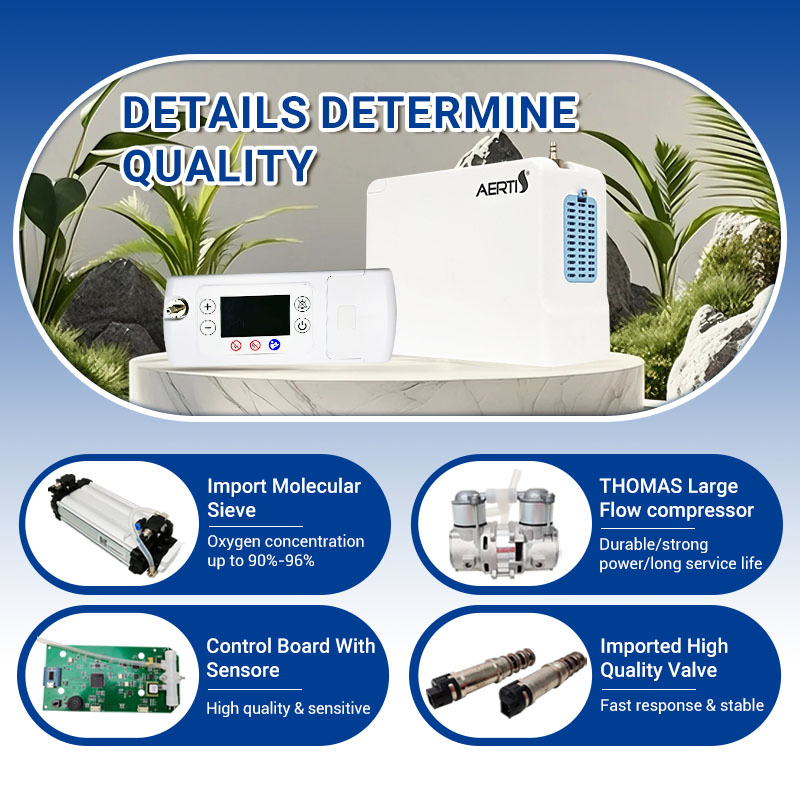 Aerti Elderly Care Portable Medical Products Outdoor Oxygen Supply Equipment with Bag