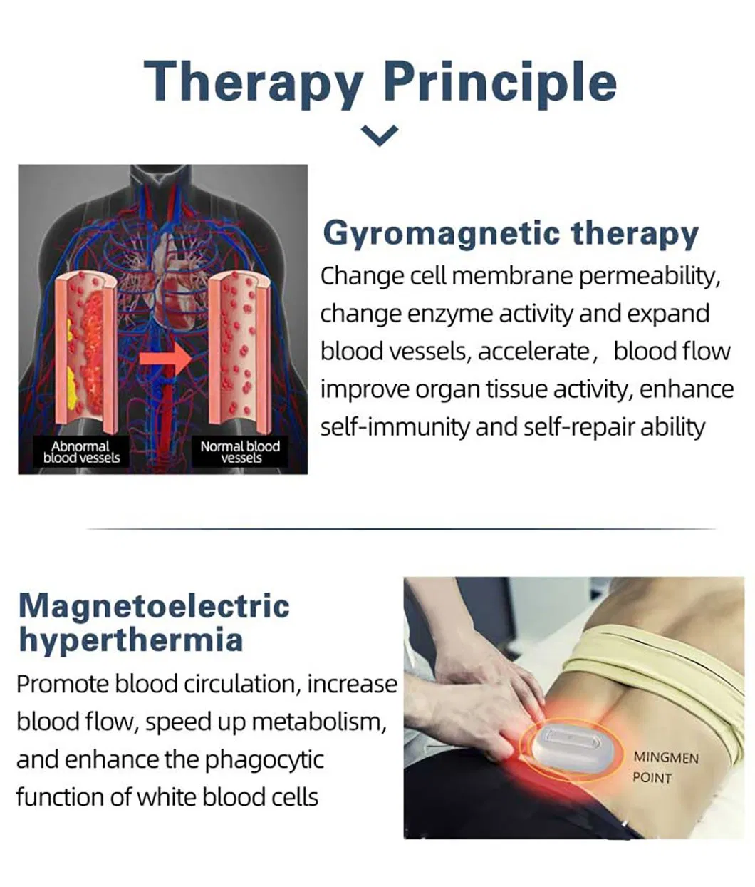 Hypoglycemic Principle Diagram