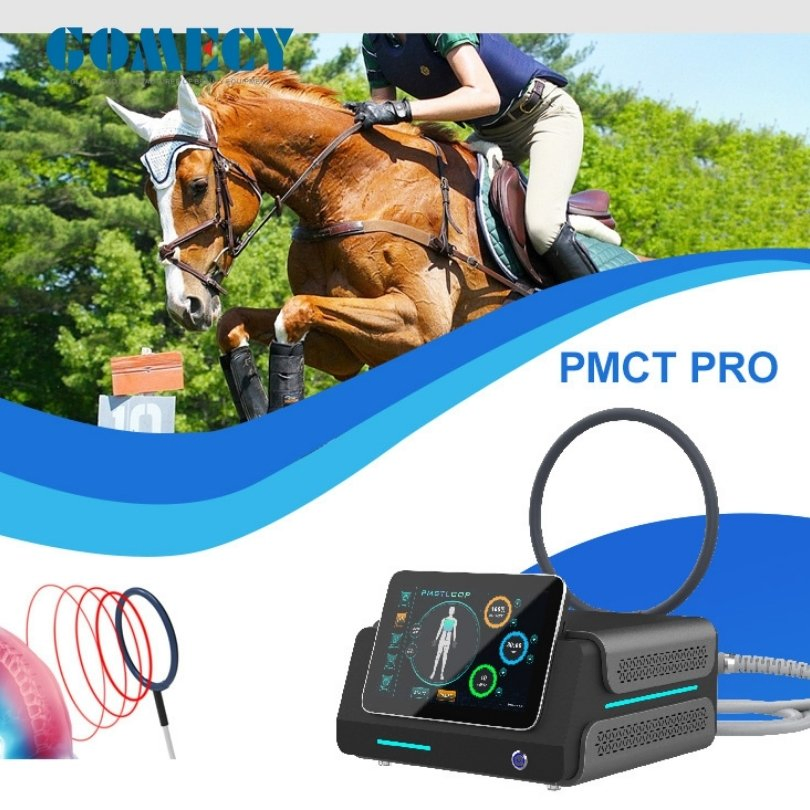 Portable Double Rings Pemf Animals Physiotherapy Pain Relief Physical Therapy Equipment