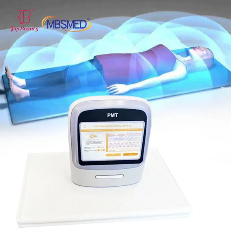 Magnetic Field Therapy Device