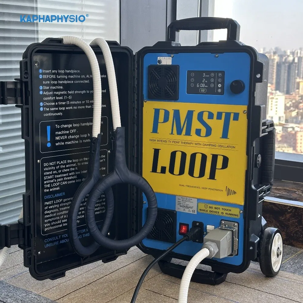 Advanced Pemf Magnetic Loop Therapy Device for Rehabilitation